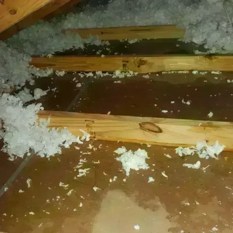 Attic Water Damage in Brandon, VT